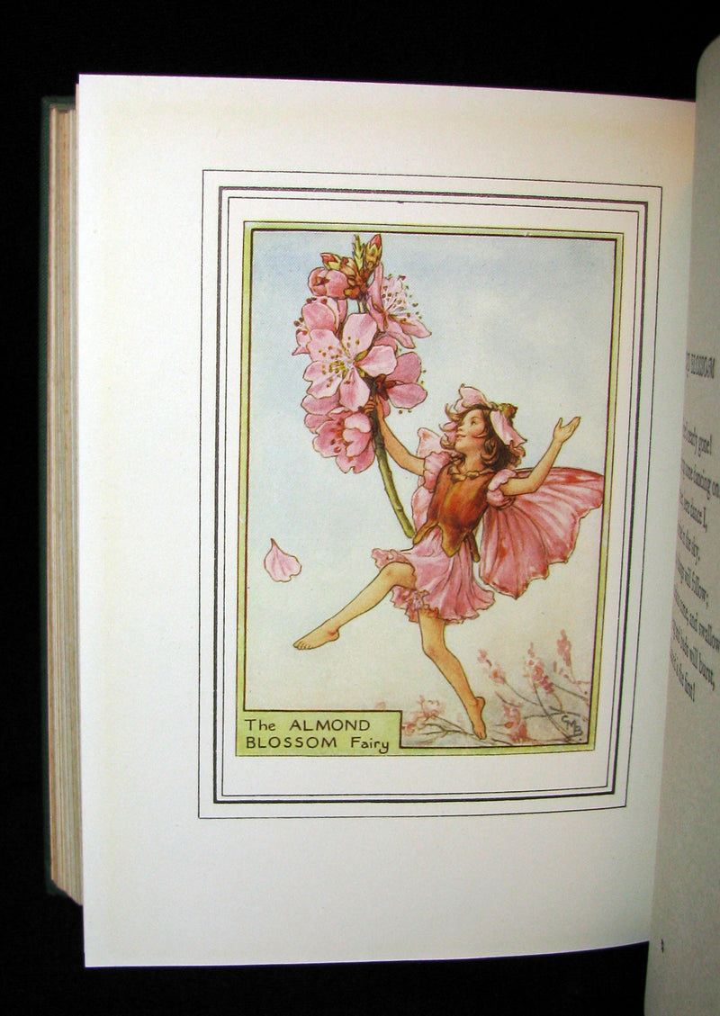 1950 - Cicely Mary Barker - FAIRIES OF THE FLOWERS AND TREES - 1st Edition