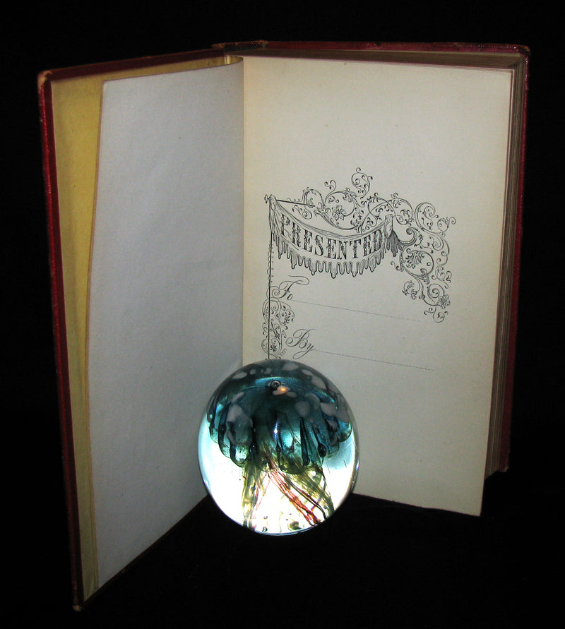 1857 Victorian Book in Scarce Binding - The Pilgrim's Progress by John Bunyan