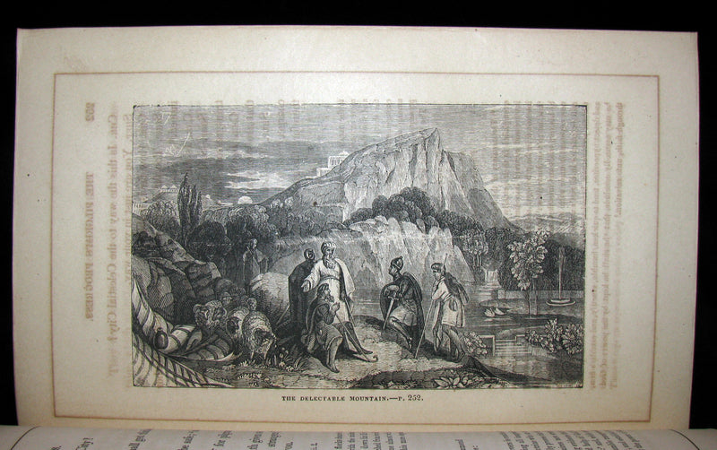 1857 Victorian Book in Scarce Binding - The Pilgrim's Progress by John Bunyan