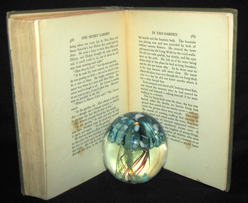 1911 Rare Book Early Edition - The Secret Garden by Frances Hodgson Burnett