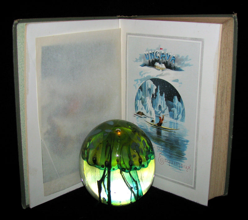 1893 Rare Victorian Book - UNGAVA  A Tale of Esquimau Land by Robert Michael Ballantyne