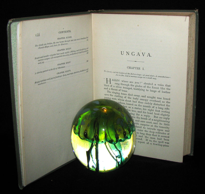 1893 Rare Victorian Book - UNGAVA  A Tale of Esquimau Land by Robert Michael Ballantyne