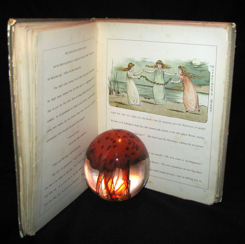 1885 Scarce Victorian Book -  The Snow Queen by Hans Christian Andersen illustrated by T. Pym (pseudonym for Clara Creed)