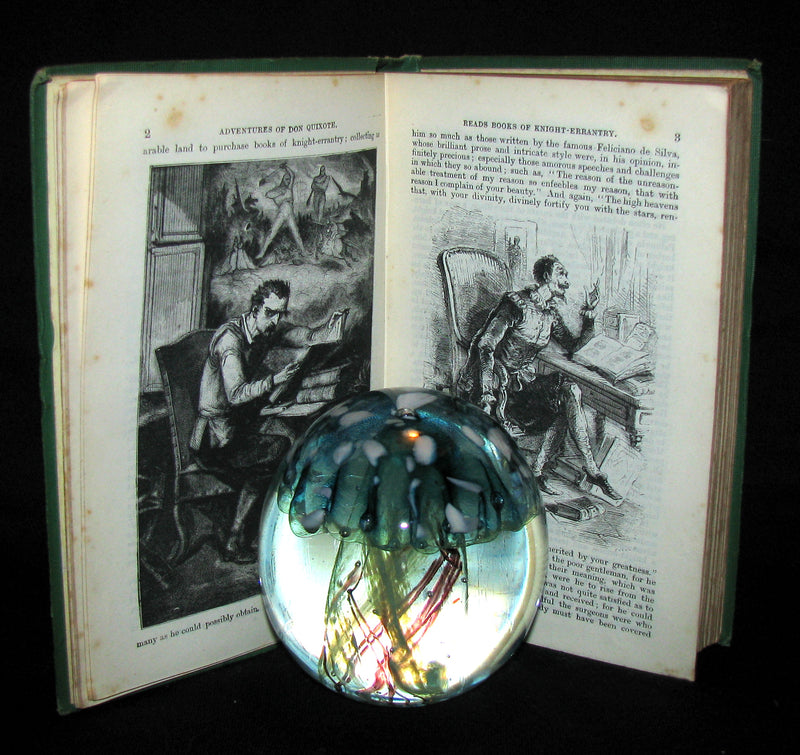 1870 Rare Book ~ Adventures of Don Quixote De La Mancha Illustrated