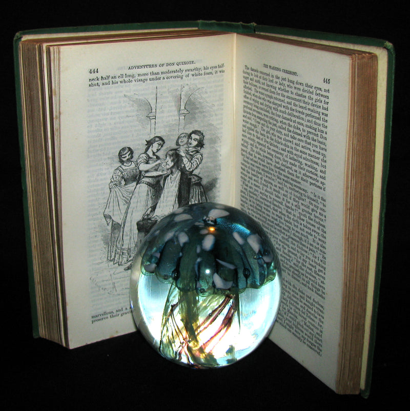 1870 Rare Book ~ Adventures of Don Quixote De La Mancha Illustrated