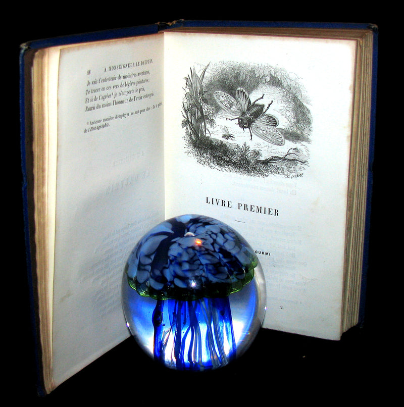 1860 Rare French Victorian Book - Fables de Jean de La Fontaine Illustrated