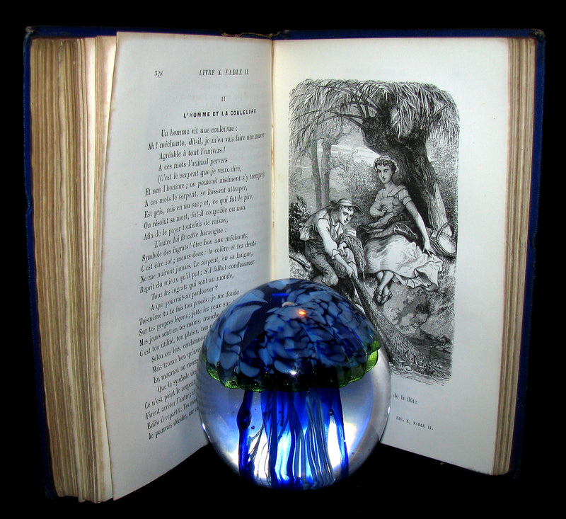 1860 Rare French Victorian Book - Fables de Jean de La Fontaine Illustrated