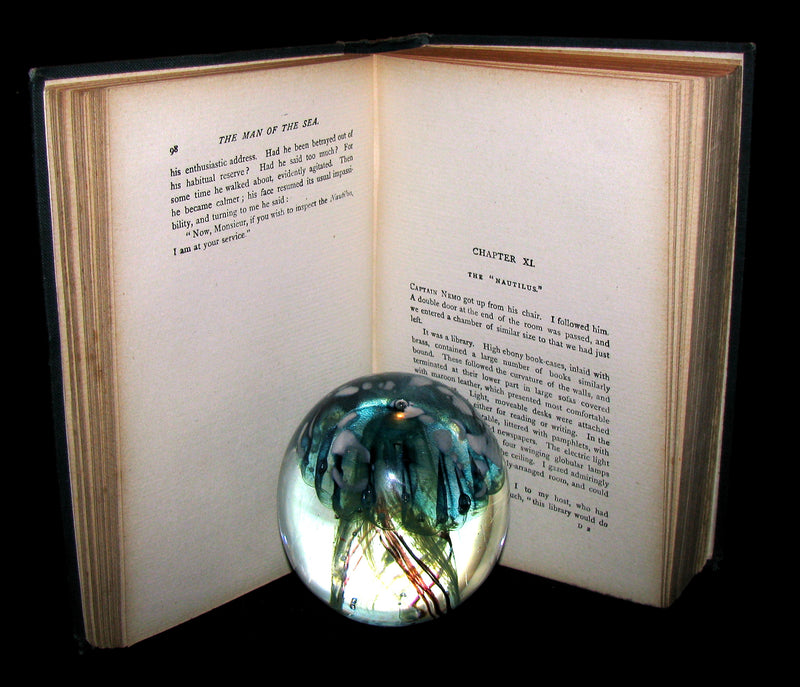 1900 Rare Book - Captain Hatteras - I. The English at the North Pole (with) II. The Field of Ice by Jules Verne