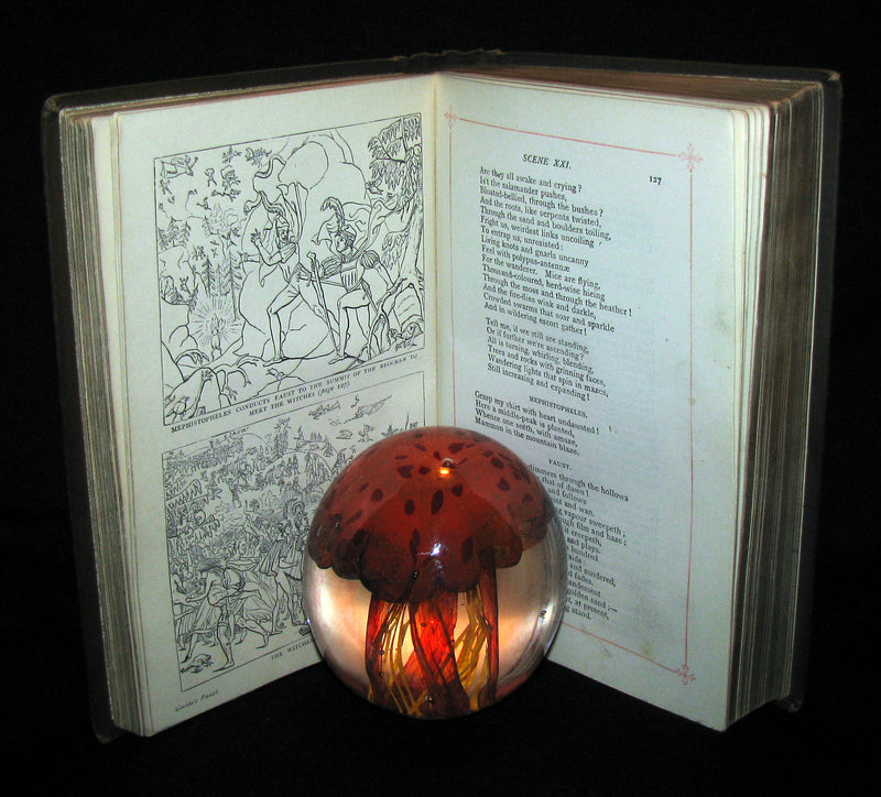 1890 Rare Victorian Book -   Faust - A Tragedy by Goethe, Illustrated.