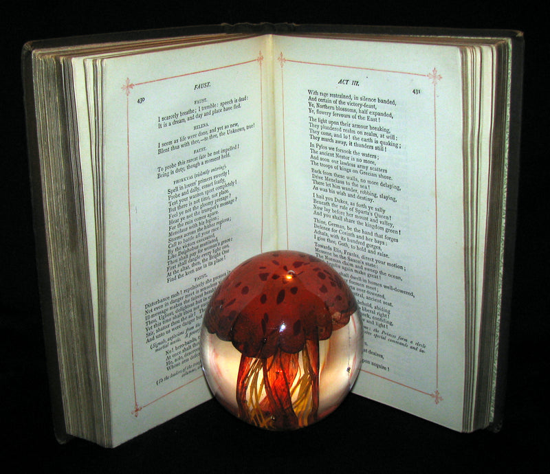 1890 Rare Victorian Book -   Faust - A Tragedy by Goethe, Illustrated.