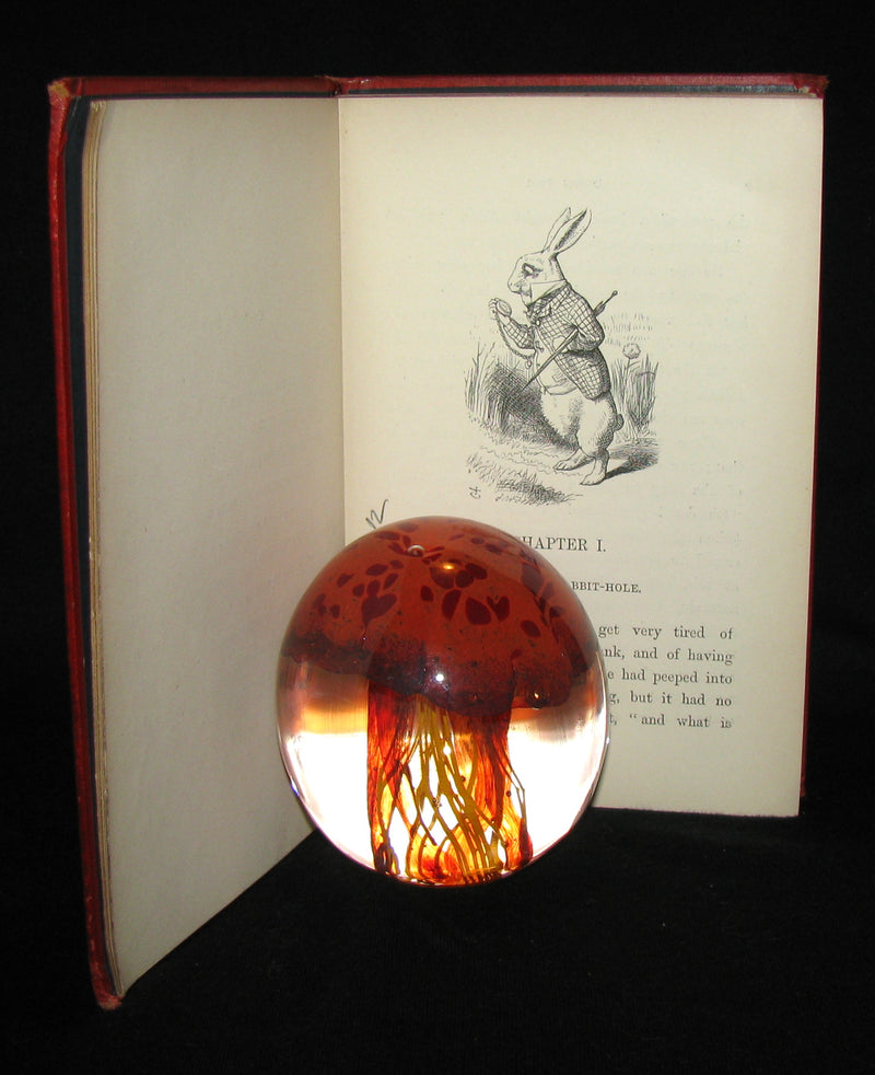 1885 Rare Victorian Book - Alice's Adventures in Wonderland by Lewis Carroll