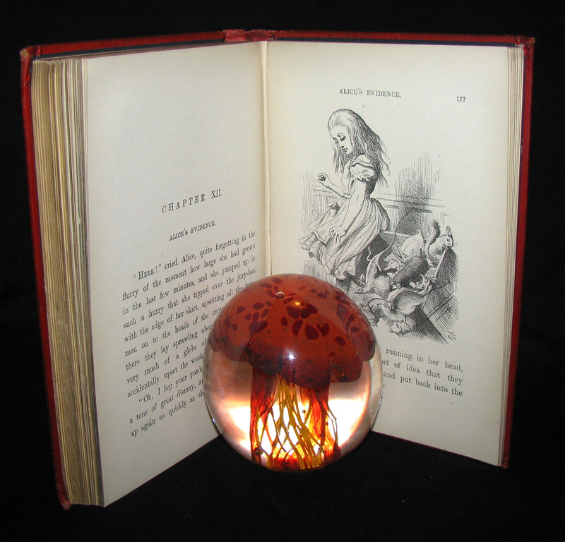 1885 Rare Victorian Book - Alice's Adventures in Wonderland by Lewis Carroll