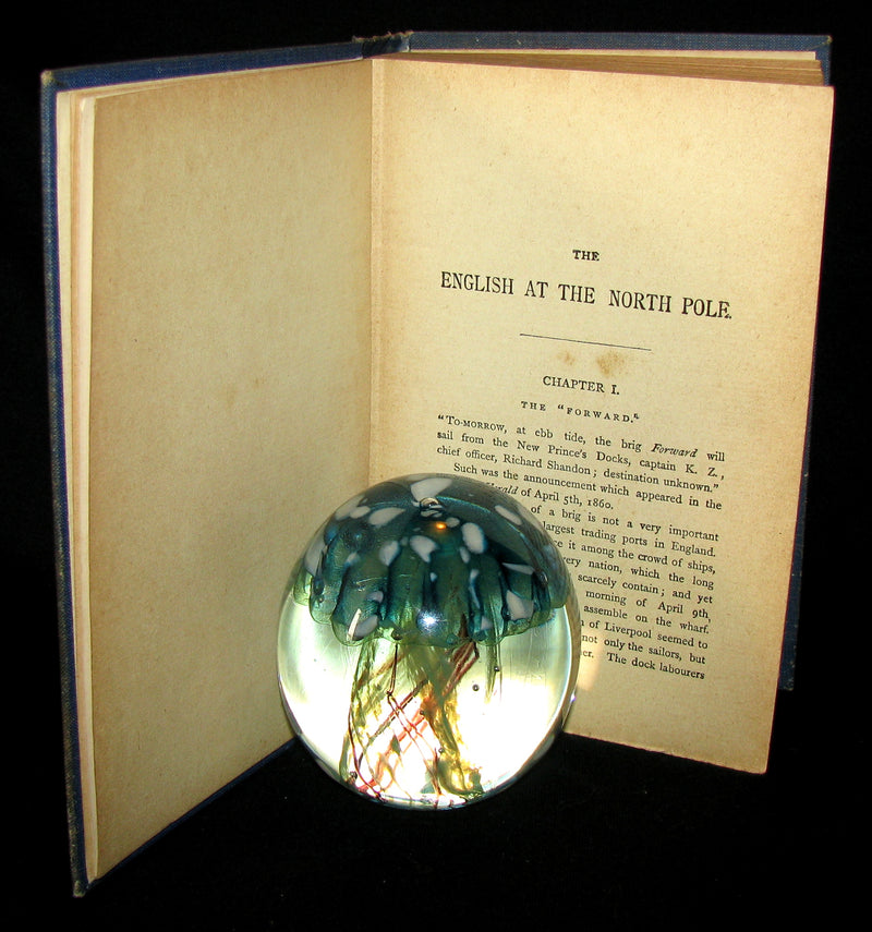 1900 Rare Book - Captain Hatteras - I. The English at the North Pole (with) II. The Field of Ice by Jules Verne
