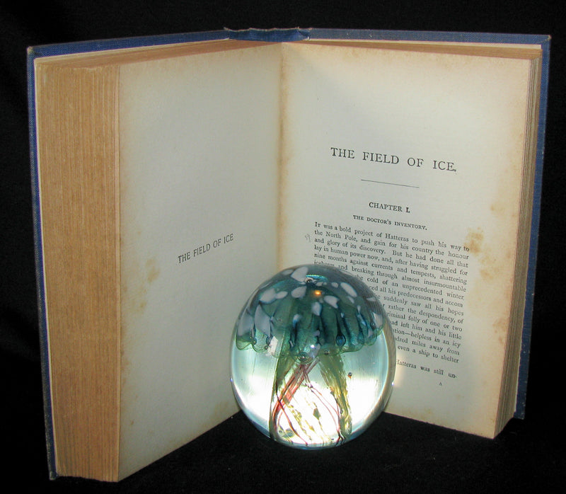 1900 Rare Book - Captain Hatteras - I. The English at the North Pole (with) II. The Field of Ice by Jules Verne