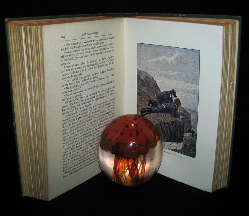 1915 Rare Book - The Fur Country or Seventy Degrees North Latitude by Jules Verne