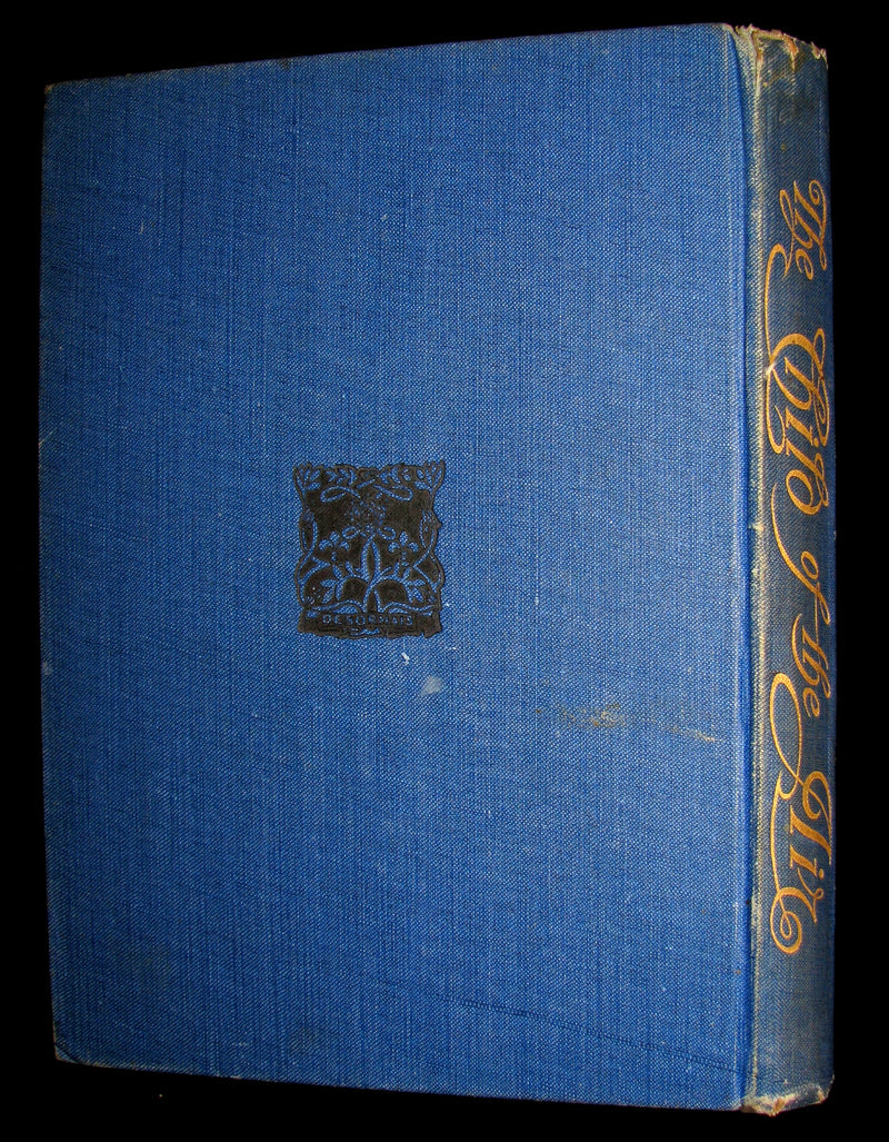 1910 Rare First Edition - The Child of the Air Pictured by C. Wilhelm (William Charles John Pitcher )