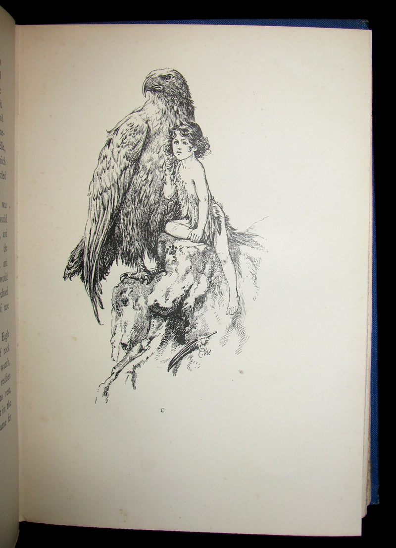 1910 Rare First Edition - The Child of the Air Pictured by C. Wilhelm (William Charles John Pitcher )