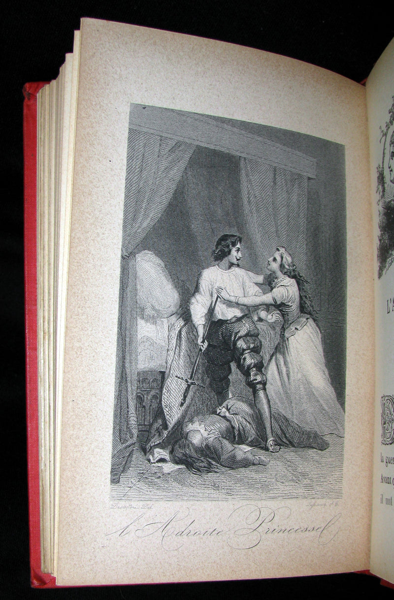 1890 Rare illustrated French Book ~ Contes des Fees -  Fairy Tales by Perrault