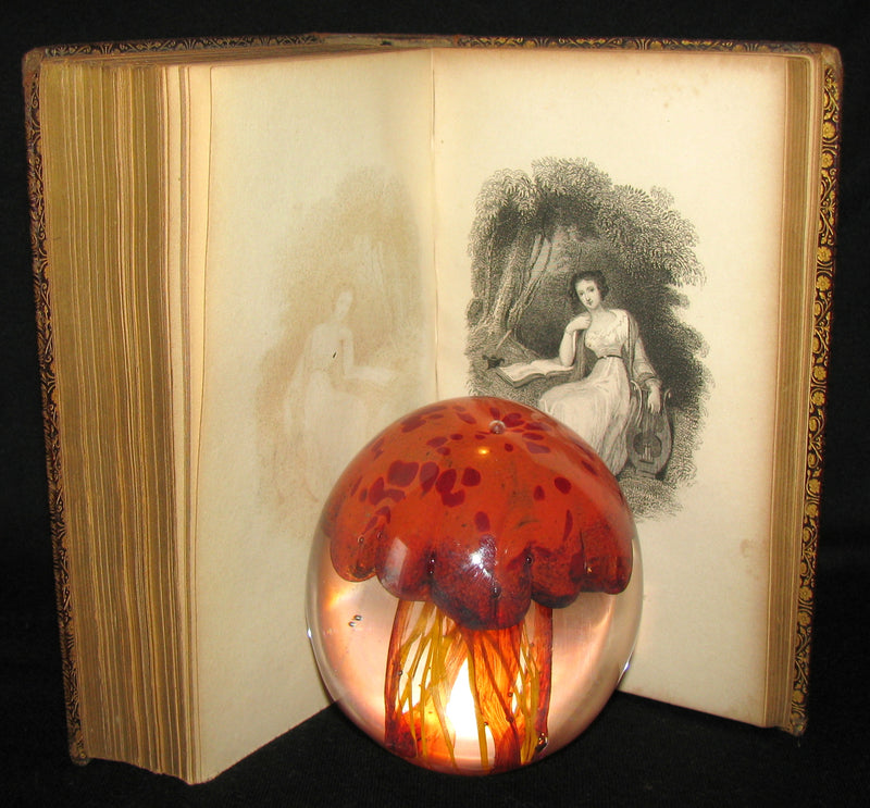 1850 Rare Book ~  John Milton's Poetical Works: A Memoir, and Essay on His Poetical Genius Together with Addison's Critique on the Paradise Lost.