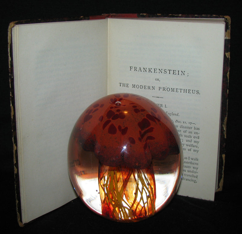 1888 Very Rare Book - FRANKENSTEIN  or, The Modern Prometheus by Mary Shelley