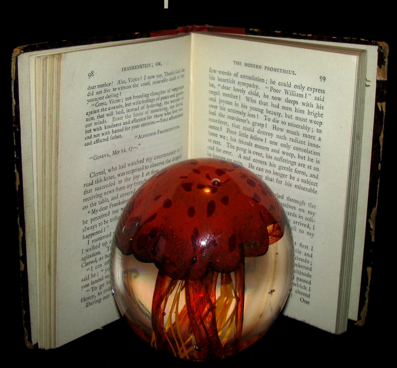 1888 Very Rare Book - FRANKENSTEIN  or, The Modern Prometheus by Mary Shelley