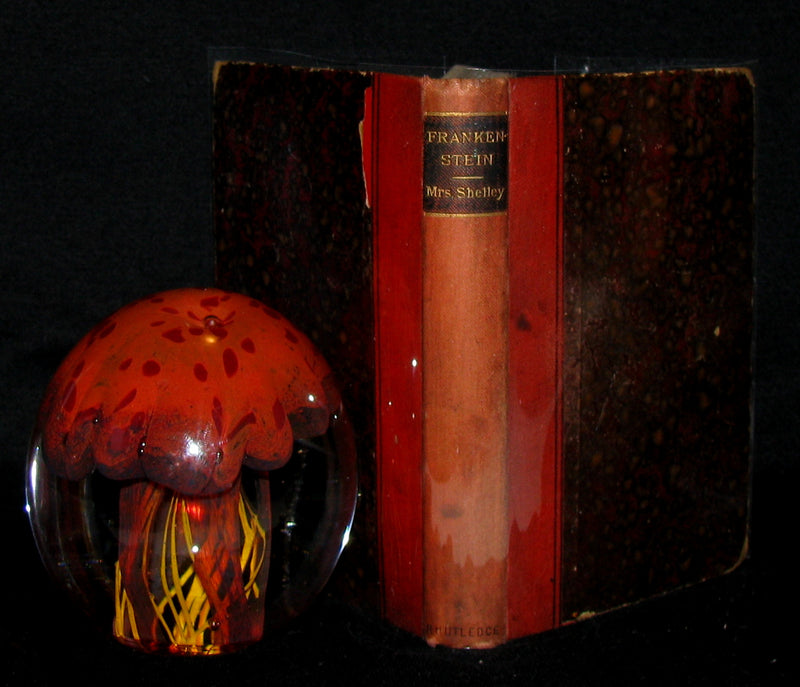 1888 Very Rare Book - FRANKENSTEIN  or, The Modern Prometheus by Mary Shelley
