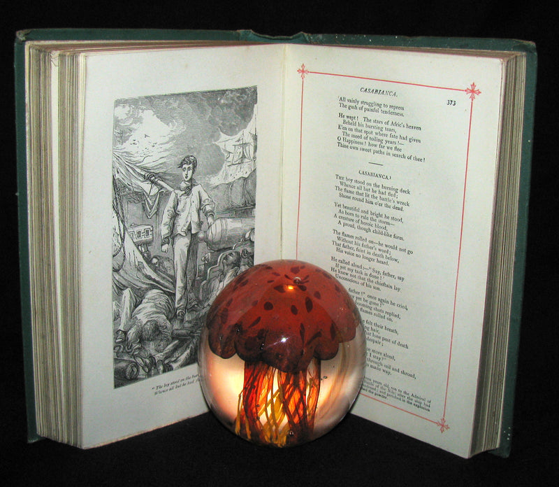 1890's Rare Victorian Book - The Poetical Works Of Mrs Hemans, Edited With A Critical Memoir by William Michael Rossetti