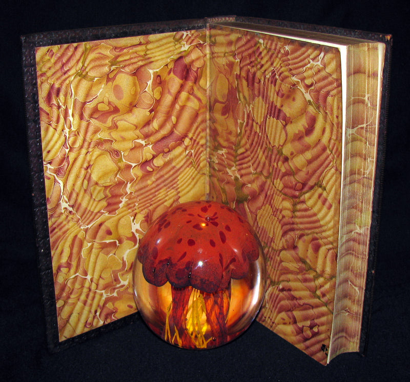 1888 Rare Victorian Book - The Complete Poetical Works and Essays on Poetry of EDGAR ALLAN POE together with his Narrative of Arthur Gordon Pym