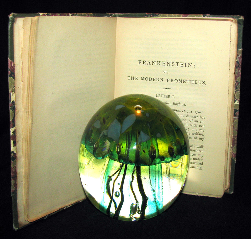 1888 Rare Gothic Book - FRANKENSTEIN  or, The Modern Prometheus by Mary Shelley