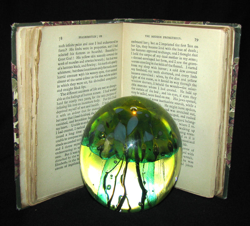 1888 Rare Gothic Book - FRANKENSTEIN  or, The Modern Prometheus by Mary Shelley