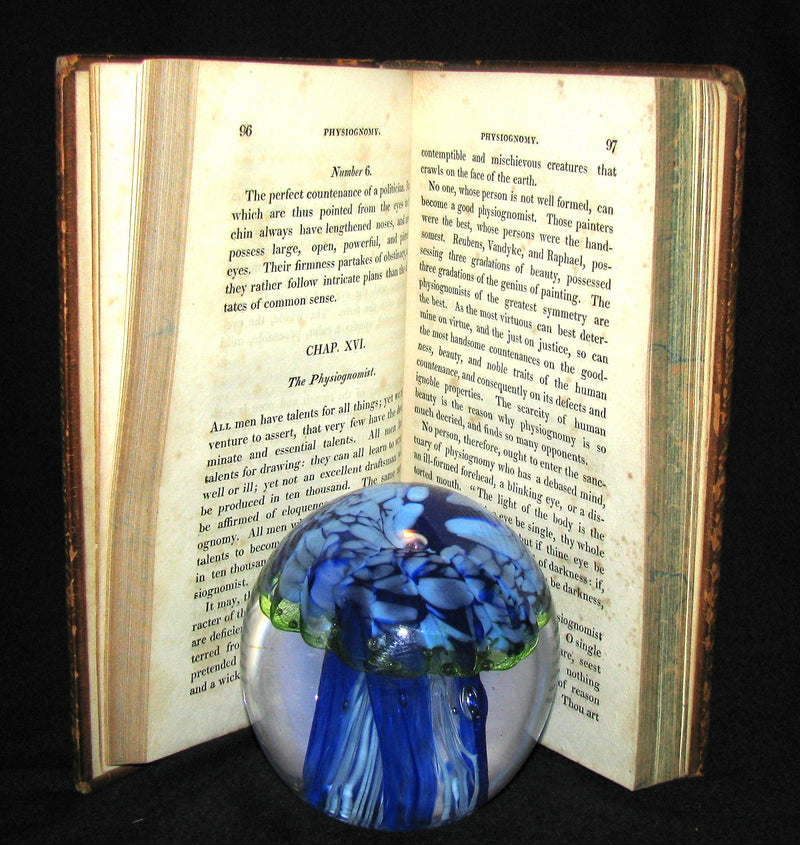 1827 Rare Book ~ Physiognomy, Or,The Mind by LAVATER