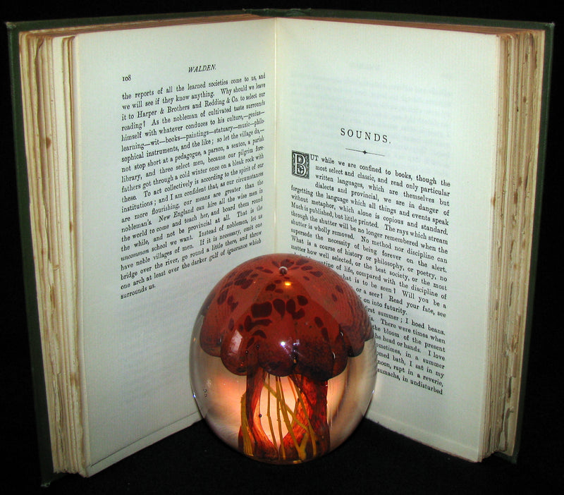 1886 Rare Victorian Book - WALDEN by Henry David THOREAU With an Introductory Note by Will H. Dircks.