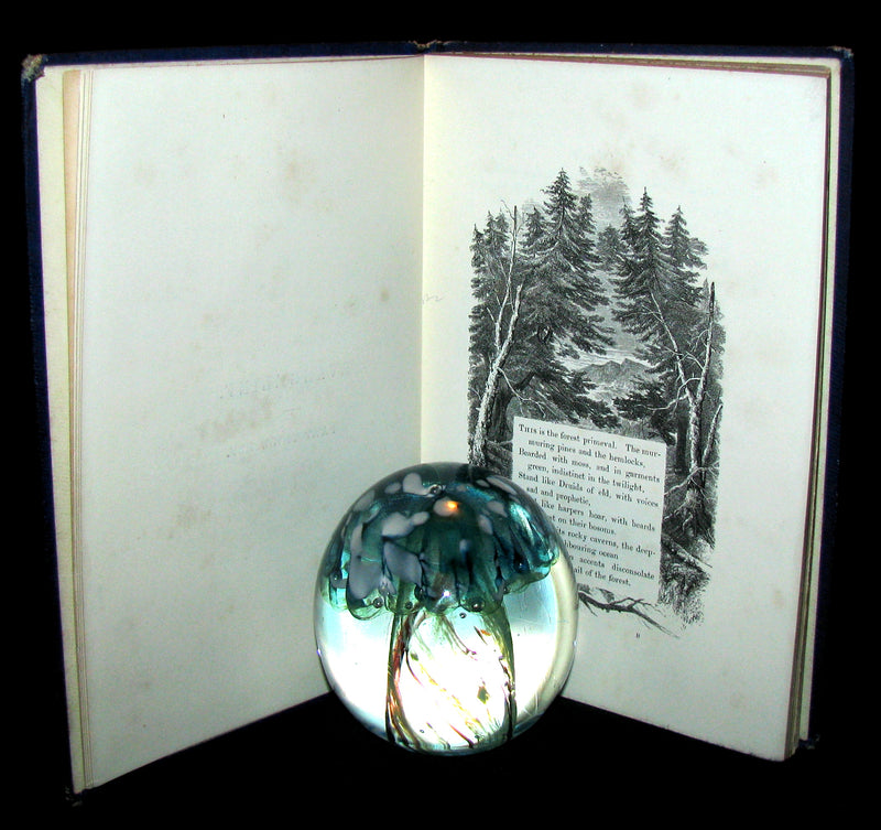 1860 Rare Victorian Book -  Evangeline  A tale of Acadie by Henry Wadsworth Longfellow. Illustrated.