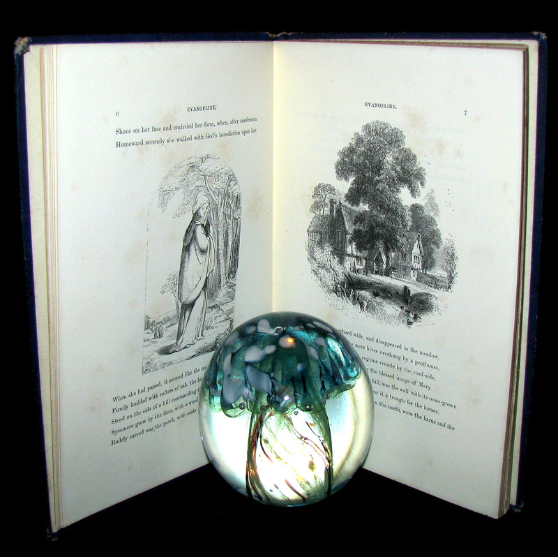 1860 Rare Victorian Book -  Evangeline  A tale of Acadie by Henry Wadsworth Longfellow. Illustrated.