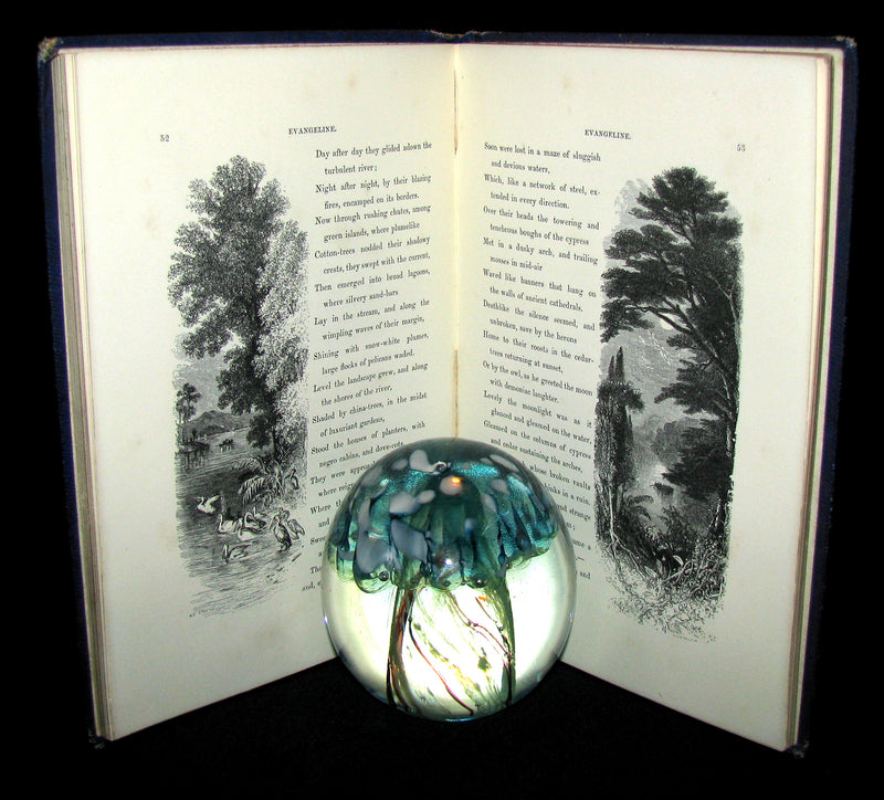 1860 Rare Victorian Book -  Evangeline  A tale of Acadie by Henry Wadsworth Longfellow. Illustrated.