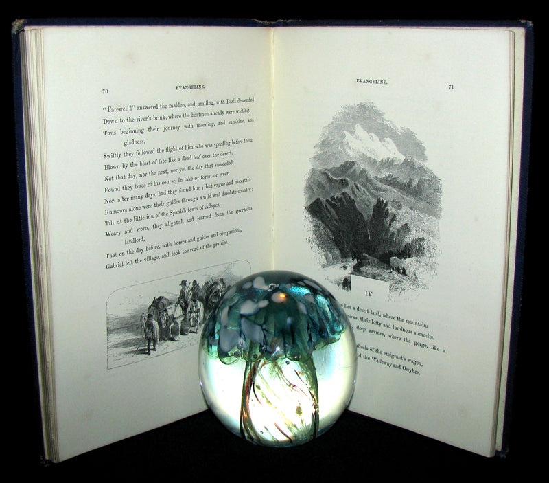 1860 Rare Victorian Book -  Evangeline  A tale of Acadie by Henry Wadsworth Longfellow. Illustrated.