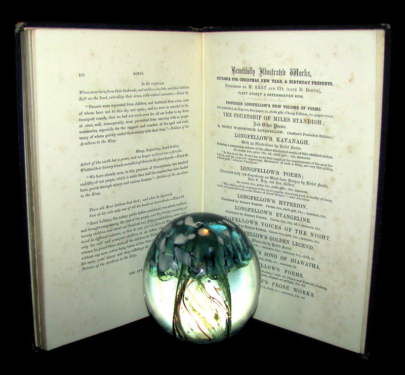 1860 Rare Victorian Book -  Evangeline  A tale of Acadie by Henry Wadsworth Longfellow. Illustrated.