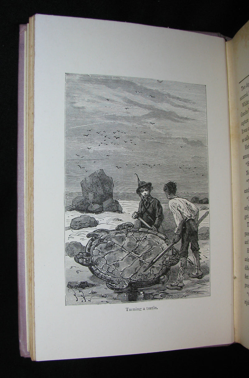 1912 Rare Illustrated Book - Abandoned being the second part of The Mysterious Island by Jules Verne