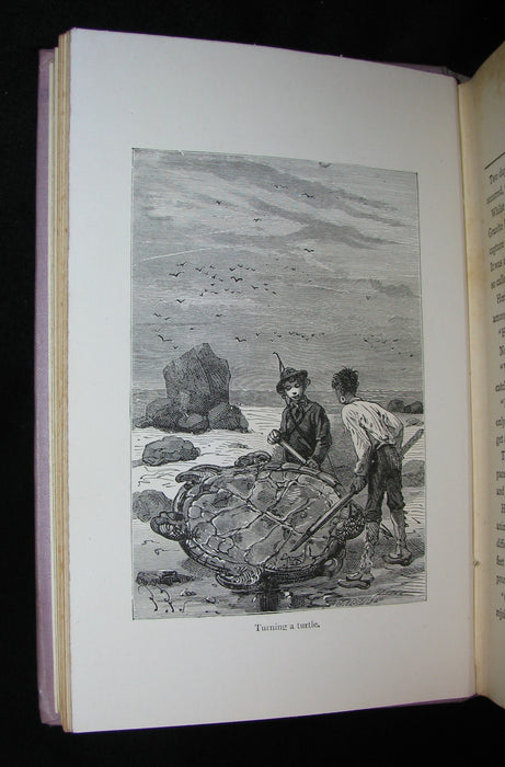 1912 Rare Illustrated Book - Abandoned being the second part of The Mysterious Island by Jules Verne