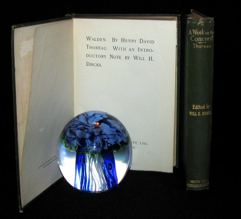 1886 - 1889 Rare Books - WALDEN and A Week on the Concord and Merrimac Rivers by Henry David Thoreau