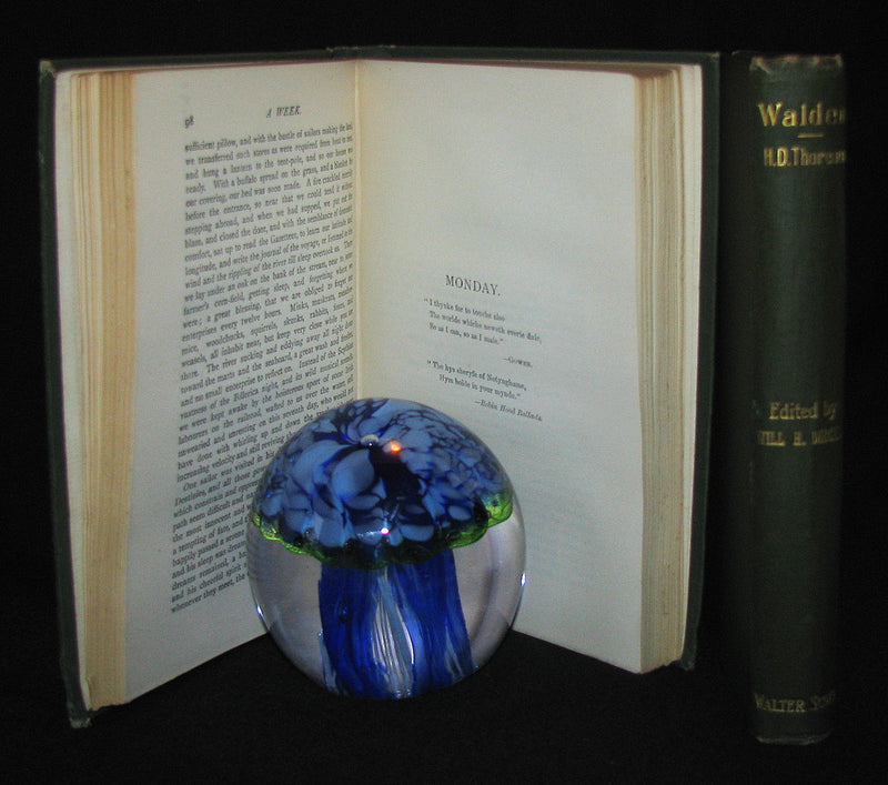 1886 - 1889 Rare Books - WALDEN and A Week on the Concord and Merrimac Rivers by Henry David Thoreau