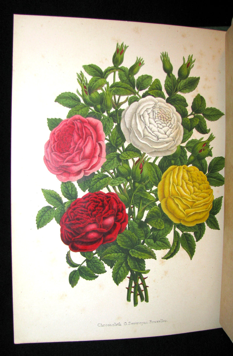 1872 Rare Victorian Gardening Book -  A book about Roses : How to grow and show them