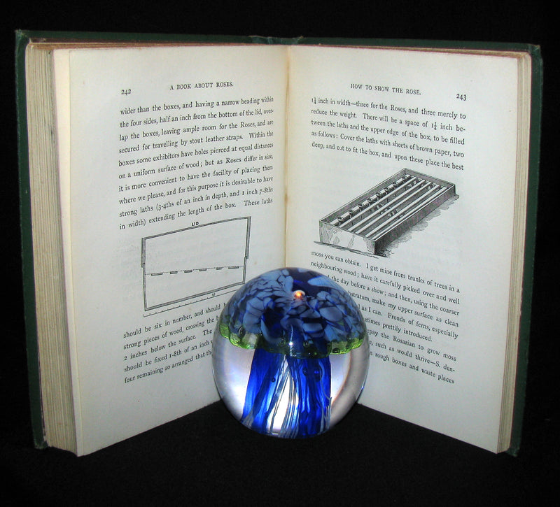 1872 Rare Victorian Gardening Book -  A book about Roses : How to grow and show them