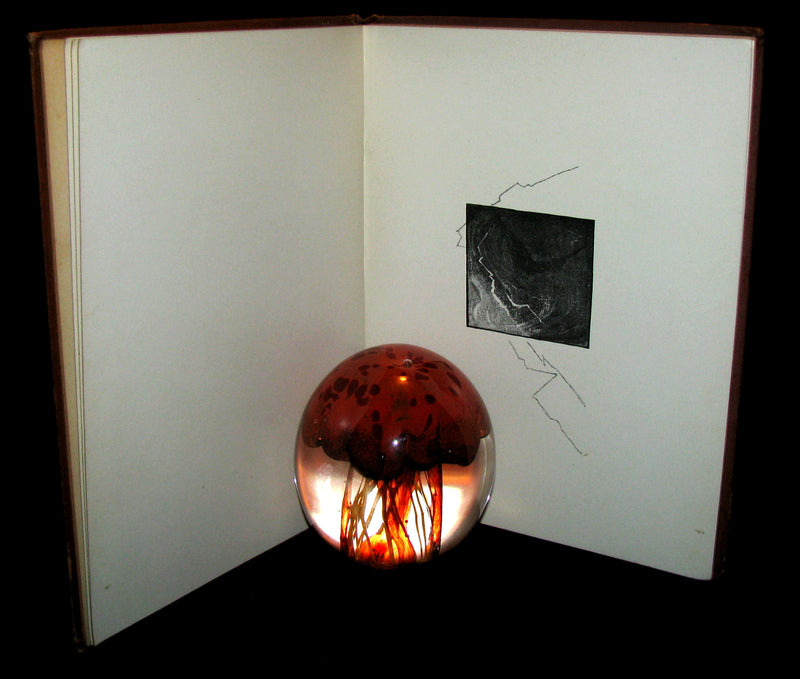 1886 Scarce Victorian Book - The RAVEN by Edgar Allan POE (Illustrated by W. L. Taylor)