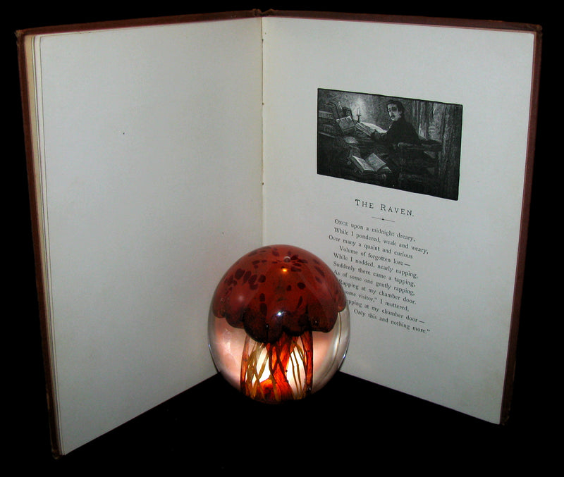 1886 Scarce Victorian Book - The RAVEN by Edgar Allan POE (Illustrated by W. L. Taylor)