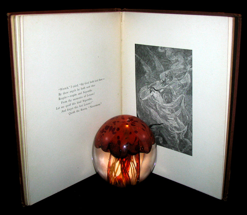 1886 Scarce Victorian Book - The RAVEN by Edgar Allan POE (Illustrated by W. L. Taylor)