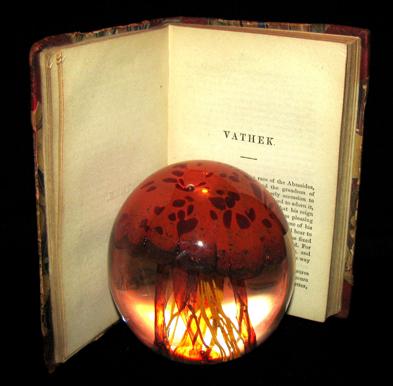 1850 Rare Gothic Book - Vathek (an Arabian Tale) by William Thomas Beckford
