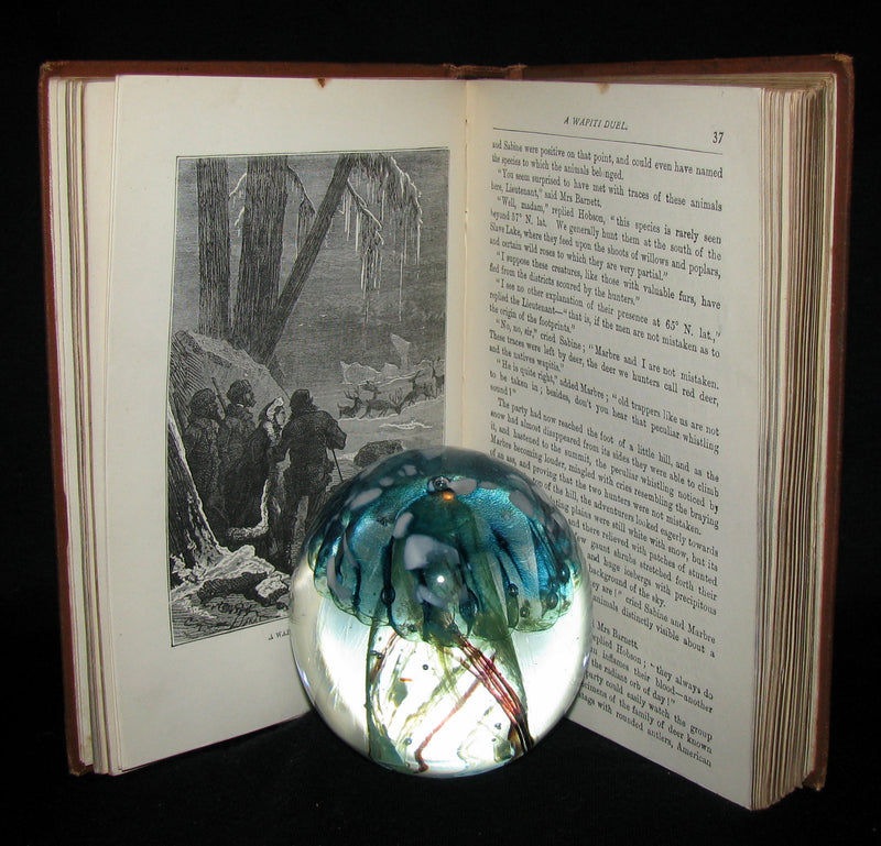 1886 Rare Victorian Book - JULES VERNE FUR COUNTRY or Seventy Degrees North Latitude