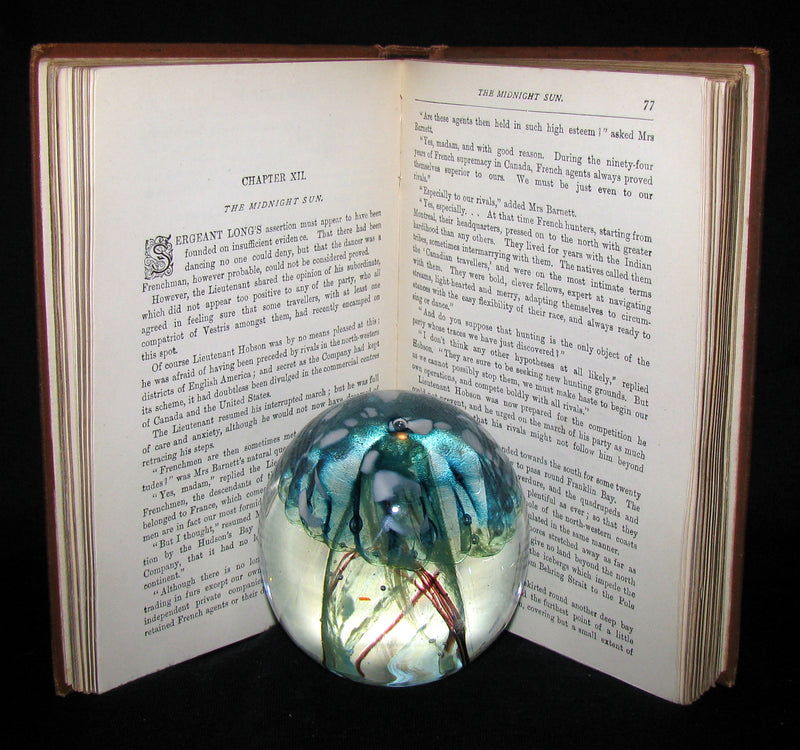 1886 Rare Victorian Book - JULES VERNE FUR COUNTRY or Seventy Degrees North Latitude