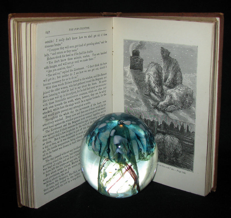 1886 Rare Victorian Book - JULES VERNE FUR COUNTRY or Seventy Degrees North Latitude